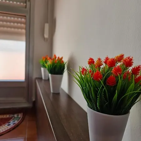 Playa De Ber アパート ポンテデウメ