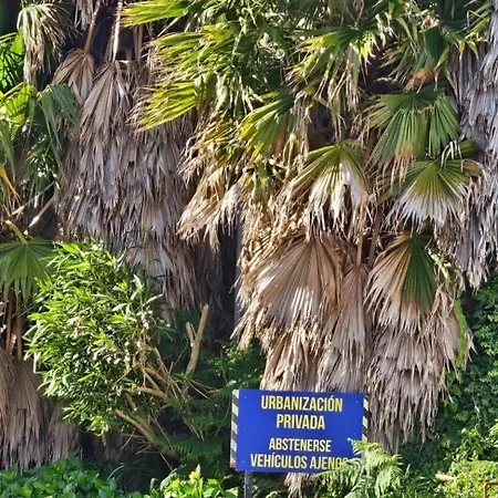 Playa De Ber ポンテデウメ