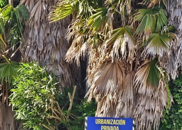 Playa De Ber Пуэнтедеуме